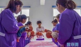 记者爆料育婴员视频下载,揭秘育儿行业背后真相